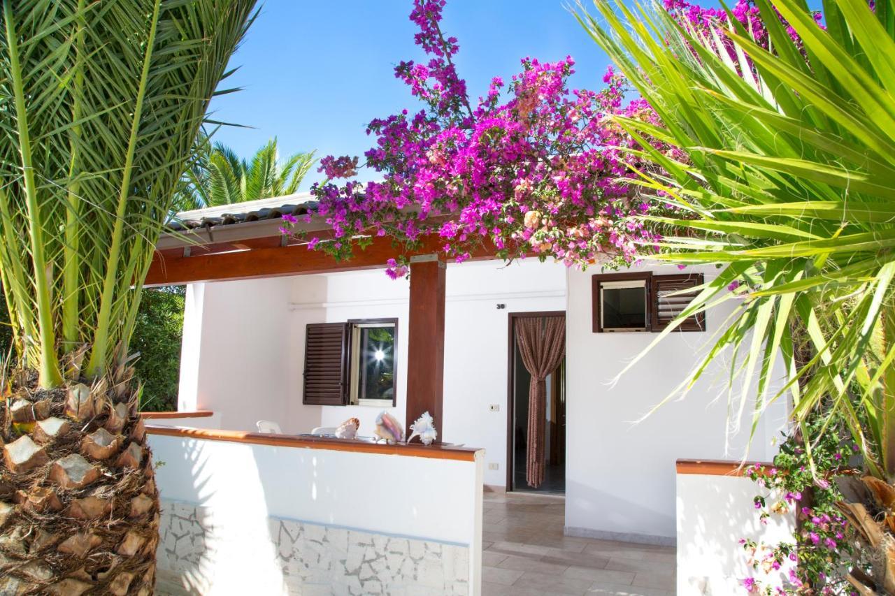 Residence La Conchiglia Vieste Zewnętrze zdjęcie
